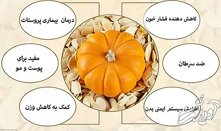 فواید سلامتی روغن تخم کدو فواید درمانی روغن کدو, عوارض روغن دانه کدو تنبل, طریقه مصرف روغن تخم کدو